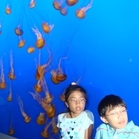 2007.07.04-Monterey Bay-060.JPG