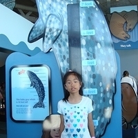 2007.07.04-Monterey Bay-068.JPG