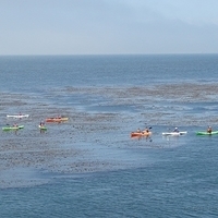 2007.07.04-Monterey Bay-072.JPG