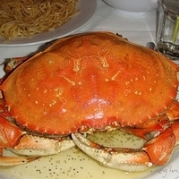 2007.06.24-009.JPG