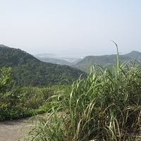 2007.05.03-035.jpg