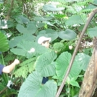 2007.05.03-085.jpg