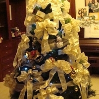 2007.12.08-002.JPG