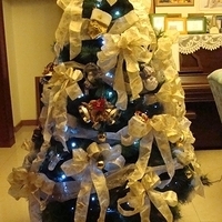2007.12.08-003.JPG