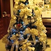 2007.12.08-004.JPG