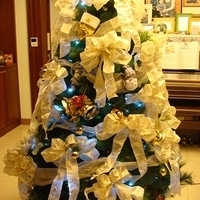 2007.12.08-005.JPG