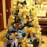 2007.12.08-006.JPG