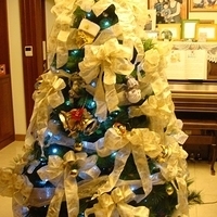 2007.12.08-007.JPG