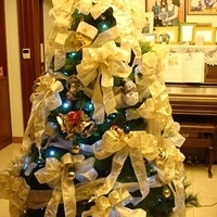 2007.12.08-008.JPG