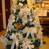2007.12.08-009.JPG
