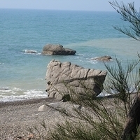 2007.01-Kaohsiung-037.JPG