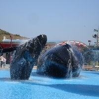 2007.01-Kaohsiung-043.JPG
