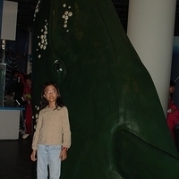 2007.01-Kaohsiung-056.JPG
