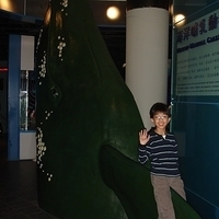 2007.01-Kaohsiung-057.JPG