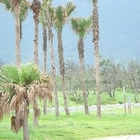 2007.06-018.JPG