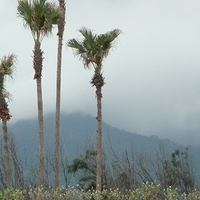 2007.06-024.JPG