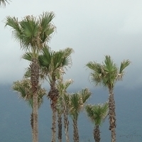 2007.06-046.JPG