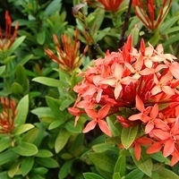 2007.06-050.JPG