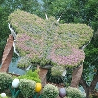 2007.06-061.JPG