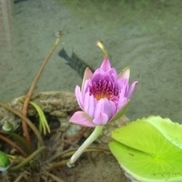 2007.06-070.JPG
