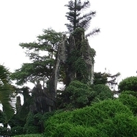 2007.06-078.JPG