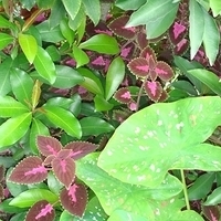 2007.06-079.JPG