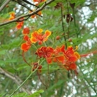 2007.06-084.JPG