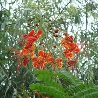 2007.06-085.JPG