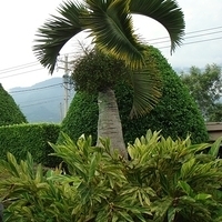 2007.06-086.JPG