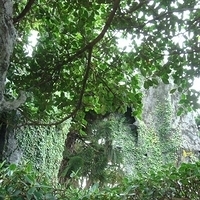 2007.06-087.JPG