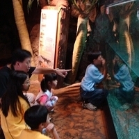 2007.06-097.JPG