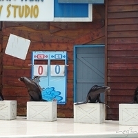2007.06-103.JPG