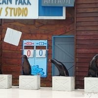 2007.06-104.JPG