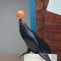 2007.06-105.JPG