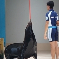 2007.06-106.JPG