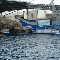 2007.06-151.JPG