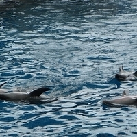 2007.06-158.JPG