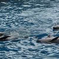 2007.06-160.JPG