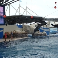 2007.06-167.JPG