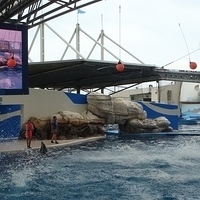 2007.06-168.JPG