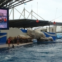 2007.06-169.JPG