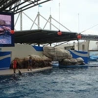 2007.06-170.JPG