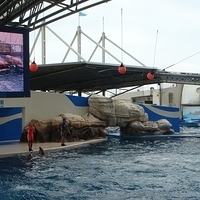 2007.06-171.JPG