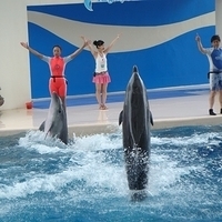 2007.06-174.JPG