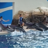 2007.06-180.JPG