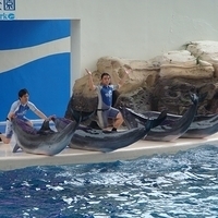 2007.06-184.JPG