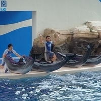 2007.06-185.JPG