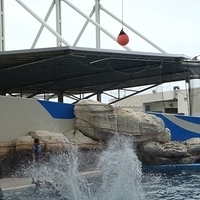 2007.06-192.JPG