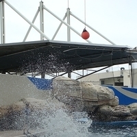 2007.06-194.JPG