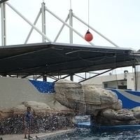 2007.06-195.JPG